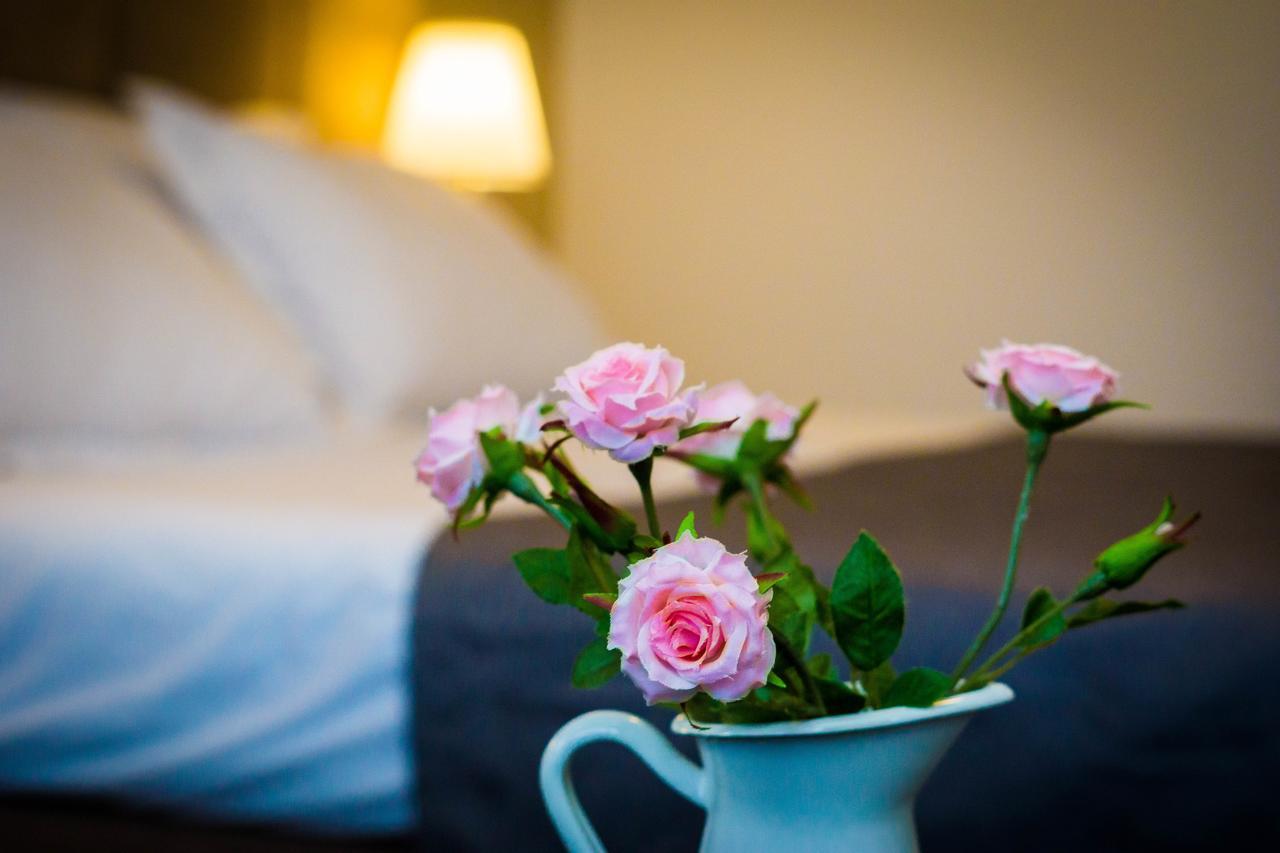 Nest Otel Drobeta Turnu Severin Dış mekan fotoğraf